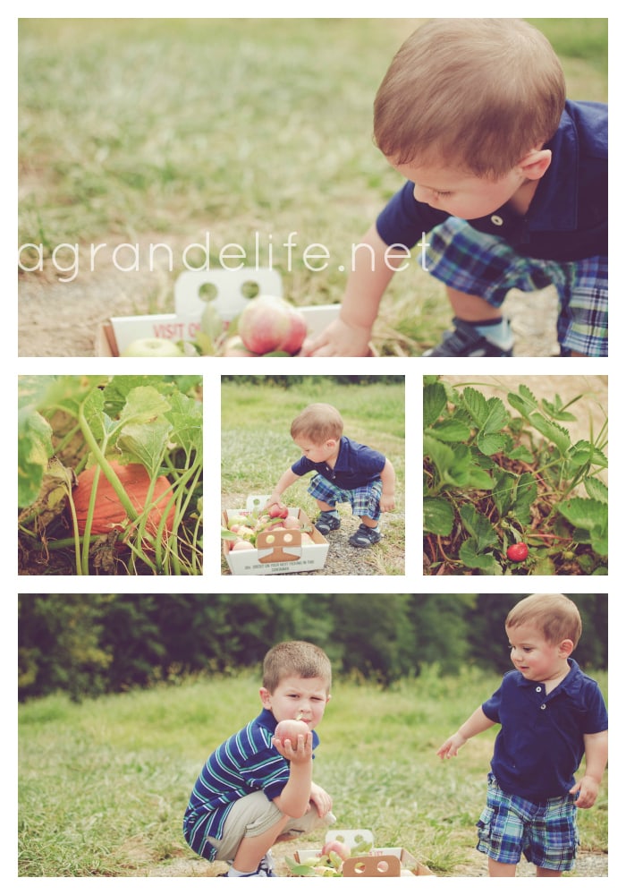 https://agrandelife.net/wp-content/uploads/2012/09/picking-apples-at-highland-orchards-3.jpg