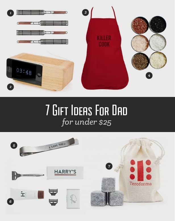 7 Gift Ideas for Dad Under $25
