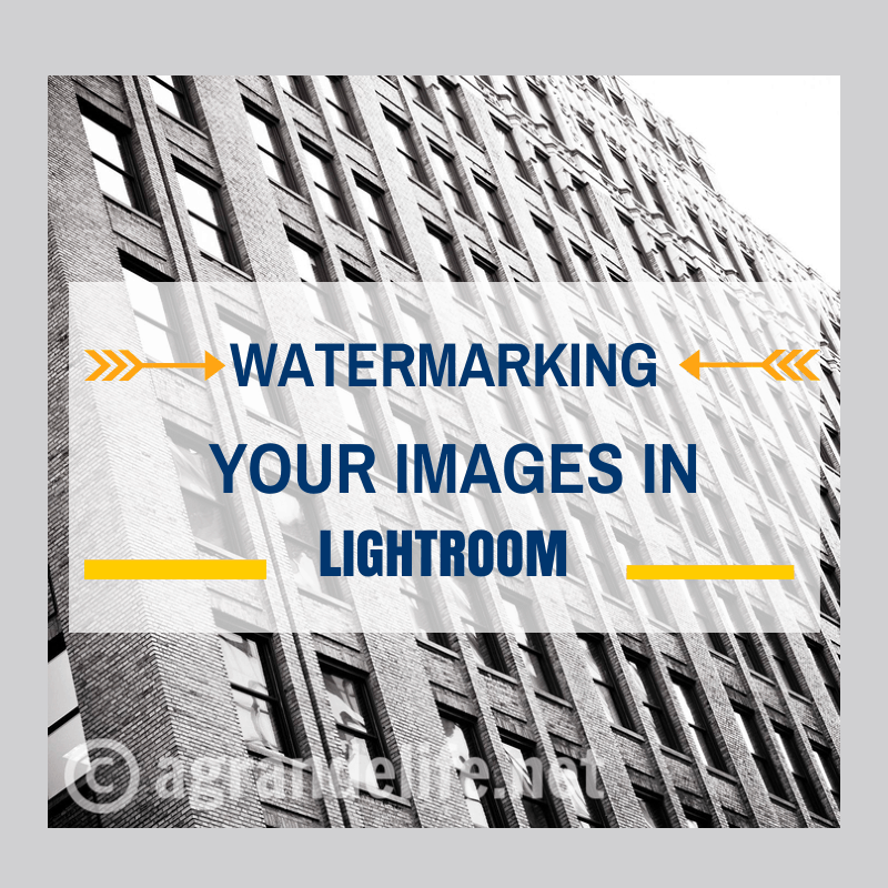 Watermarking Your Images in Lightroom