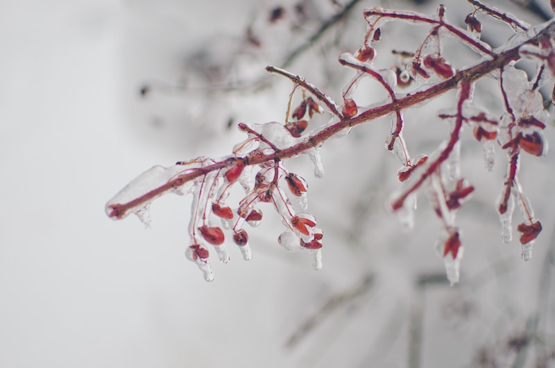 how to photograph snow