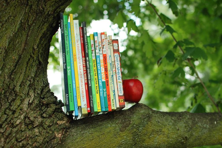 Summer Reading List for Kids: Entering First Grade
