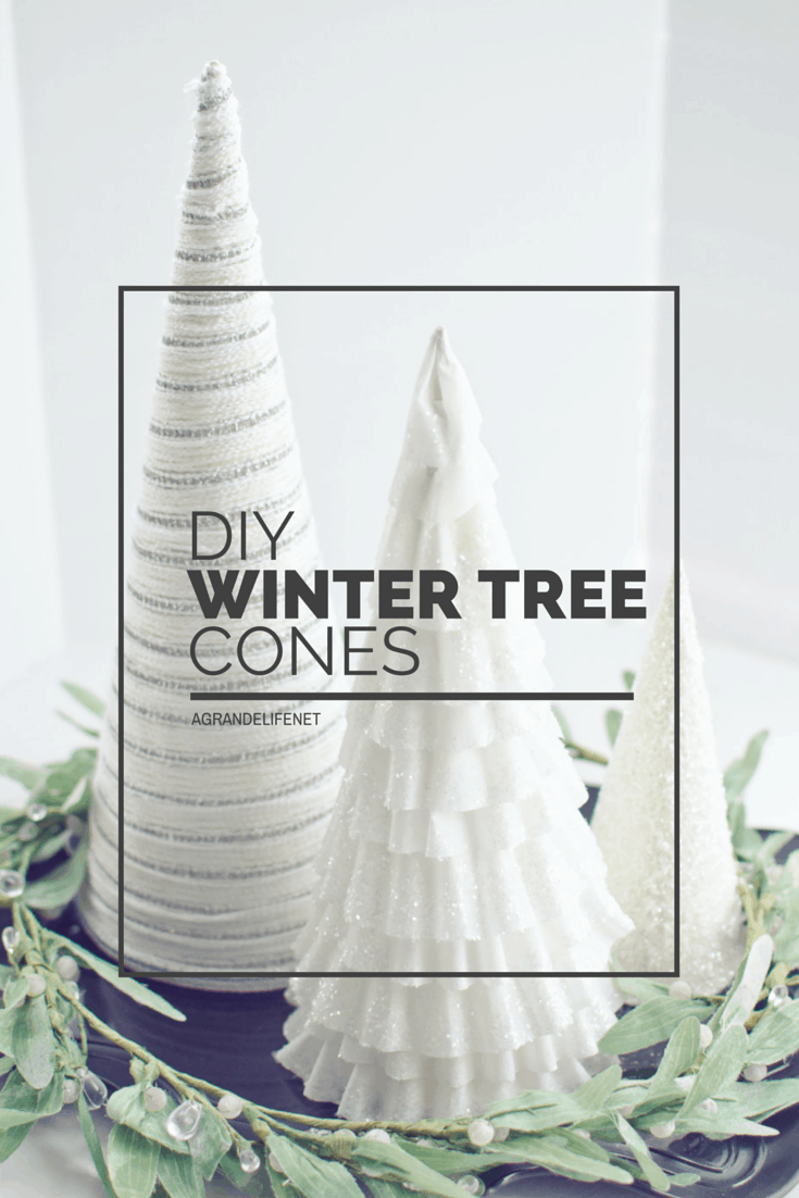 DIY Winter Tree Cones