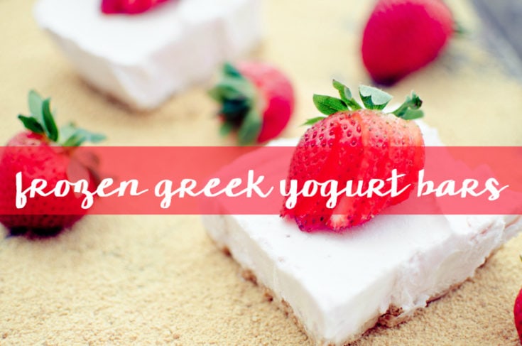 Frozen Greek Yogurt Bars