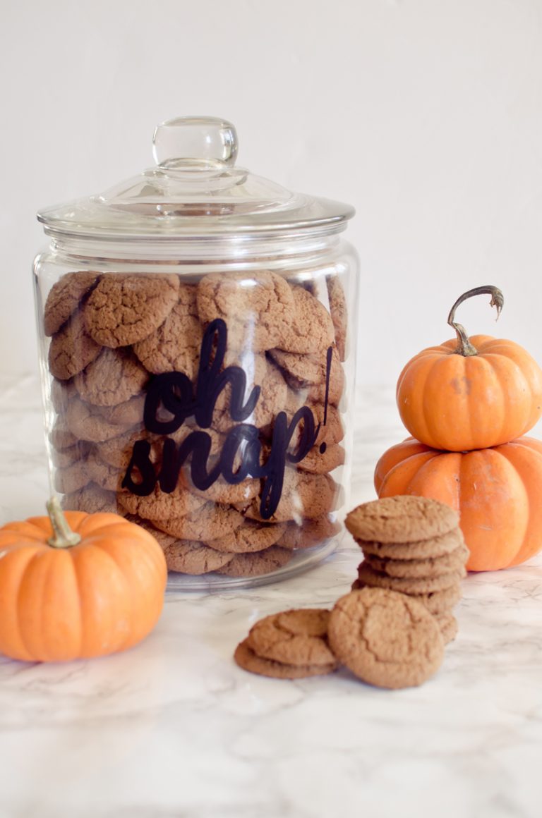 Cookie Jar DIY
