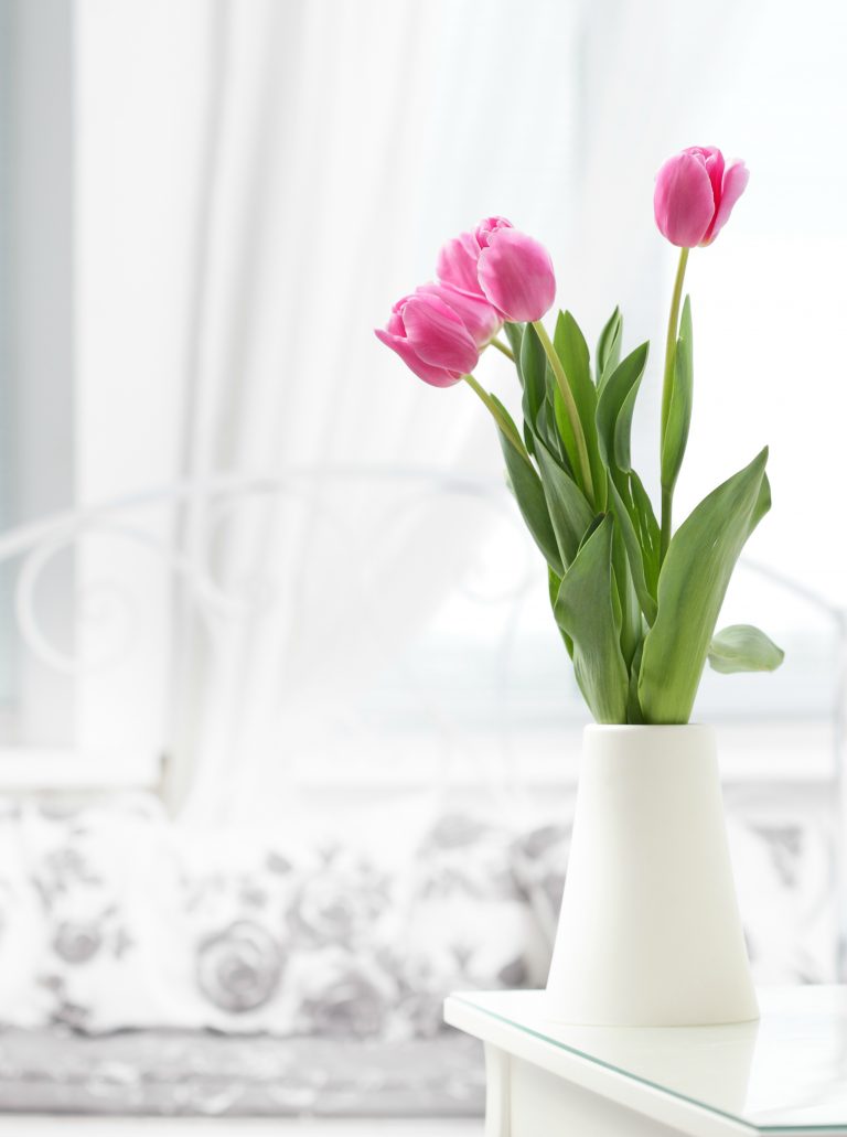 The Only Spring Cleaning Tips You Need