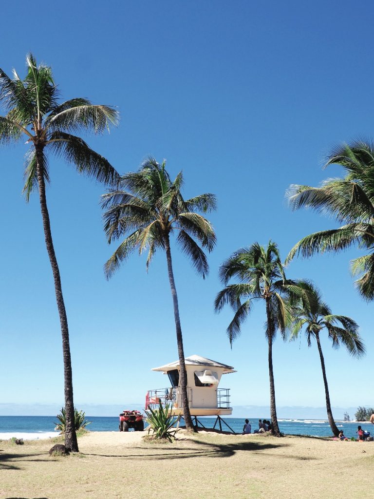 Go on a Virtual Vacation: Hawaii